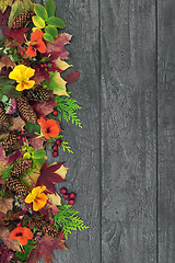 Image showing Rustic Autumn Leaf and Flower Background Border 