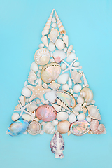 Image showing Abstract Sea Shell Christmas Tree Concept Shape