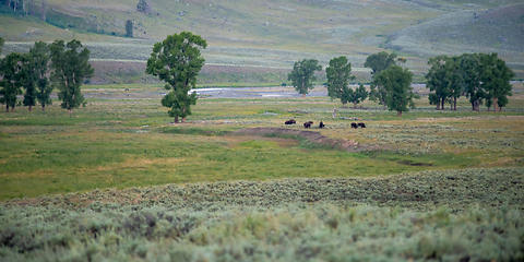 Image showing The sun setting over the Lamar Valley near the northeast entranc