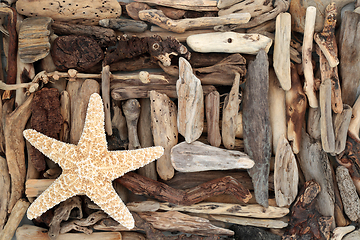 Image showing Natural Driftwood and Starfish Abstract Background 