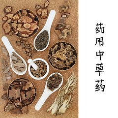 Image showing Medicinal Chinese Herbs 