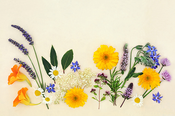 Image showing Herb and Flower Collection for Natural Healing