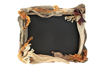 Image showing Natural Seaweed and Driftwood Background Border 