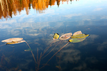 Image showing Crossing of two worlds