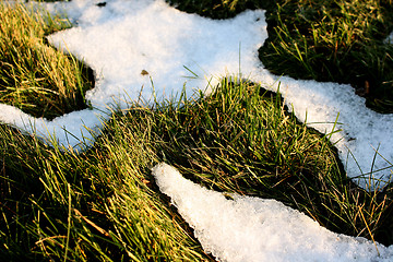 Image showing Last snow