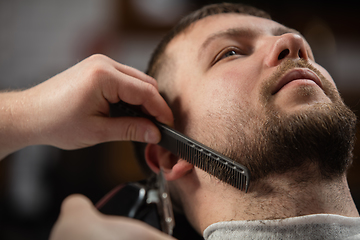 Image showing Close up of client of master barber, stylist during getting care of mustache and beard. Professional occupation, male beauty concept