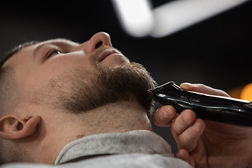 Image showing Close up of client of master barber, stylist during getting care of mustache and beard. Professional occupation, male beauty concept