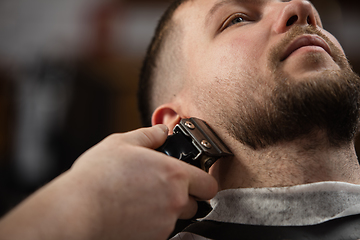 Image showing Close up of client of master barber, stylist during getting care of mustache and beard. Professional occupation, male beauty concept