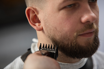 Image showing Close up of client of master barber, stylist during getting care of mustache and beard. Professional occupation, male beauty concept