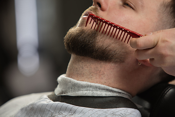 Image showing Close up of client of master barber, stylist during getting care of mustache and beard. Professional occupation, male beauty concept