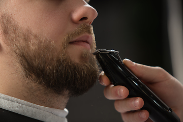 Image showing Close up of client of master barber, stylist during getting care of mustache and beard. Professional occupation, male beauty concept