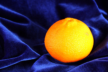 Image showing Orange and velvet