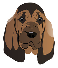 Image showing Brown Blood Hound illustration vector on white background