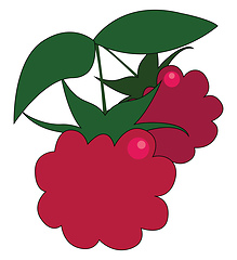 Image showing Clipart of two red fresh-looking raspberries with green leaves v