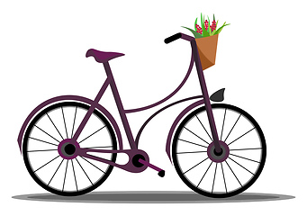 Image showing bicycle with flower basket vector or color illustration