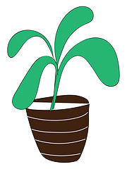 Image showing Big cartoon plant vector illlustration on white background