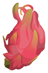 Image showing Cartoon pink dragonfruit vector illustration on white background