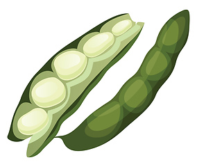 Image showing Green beans vector illustration of vegetables on white backgroun