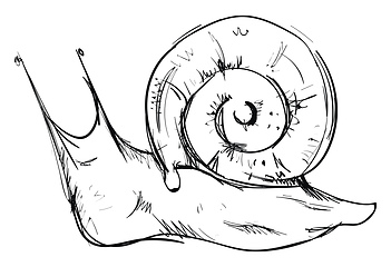 Image showing Sketch of a small snail in black color vector or color illustrat