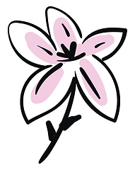 Image showing Simple sketch of a black and pink lily flower vector illustratio