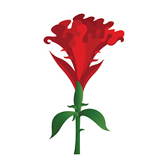 Image showing Vector illustration of red cockscomb flower on white background.