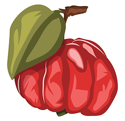 Image showing Vector illustration of deep red surinam cherry fruit with a gree