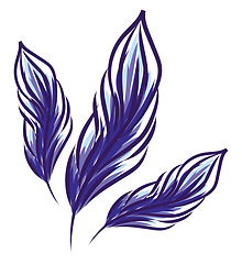 Image showing Painting of three blue feather vector or color illustration