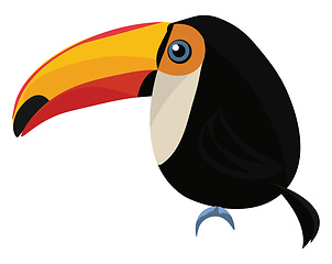 Image showing Toucan, vector or color illustration.