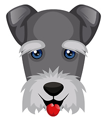 Image showing Schnauzer illustration vector on white background