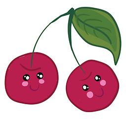 Image showing Pair of cute red cherries vector or color illustration