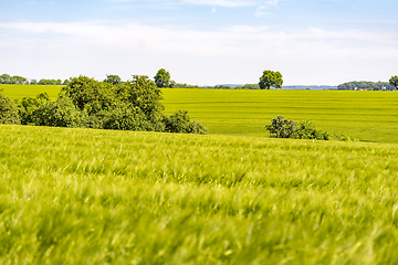 Image showing rural landscape at spring time