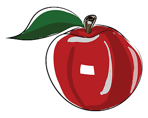 Image showing A freshly plucked red apple from the orchid vector color drawing