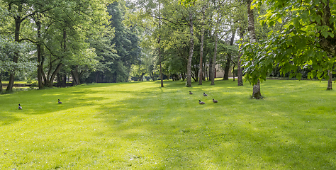 Image showing idyllic park scenery