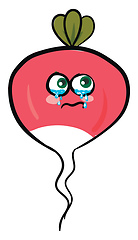 Image showing Image of crying radish, vector or color illustration.