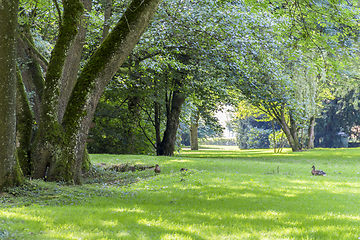 Image showing idyllic park scenery