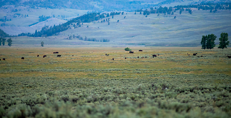 Image showing The sun setting over the Lamar Valley near the northeast entranc