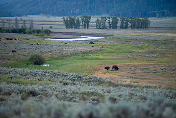 Image showing The sun setting over the Lamar Valley near the northeast entranc