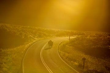 Image showing The sun setting over the Lamar Valley near the northeast entranc