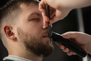 Image showing Close up of client of master barber, stylist during getting care of mustache and beard. Professional occupation, male beauty concept