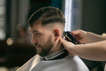 Image showing Close up of client of master barber, stylist during getting care of hairstyle. Professional occupation, male beauty concept