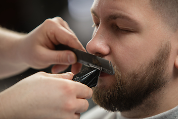 Image showing Close up of client of master barber, stylist during getting care of mustache and beard. Professional occupation, male beauty concept