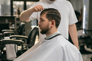 Image showing Close up of client of master barber, stylist during getting care of hairstyle. Professional occupation, male beauty concept