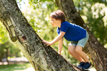 Image showing happy little boy climbing tree at park