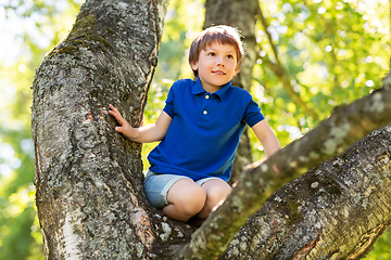 Image showing happy little boy climbing tree at park