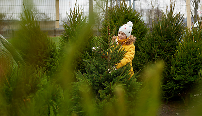 Image showing little girl choosing christmas tree at market