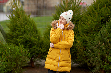 Image showing little girl choosing christmas tree at market