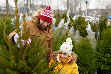 Image showing happy family choosing christmas tree at market