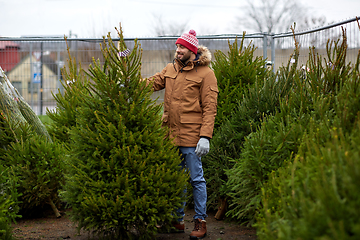 Image showing happy man choosing christmas tree at market