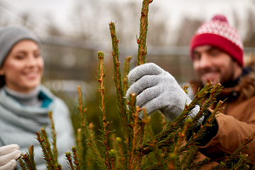 Image showing happy couple buying christmas tree at market