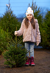 Image showing little girl choosing christmas tree at market